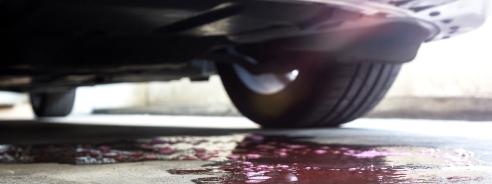 Rons Garage Blog 2025 July Leaking Coolant 1 | Ron's Garage | Auto Repair Ann Arbor MI | Brake Repair Leaking Coolant, Antifreeze, Radiator, Cooling System, Coolant Reservoir, Head Gasket, Radiator Cap, Radiator Hose, Water Pump